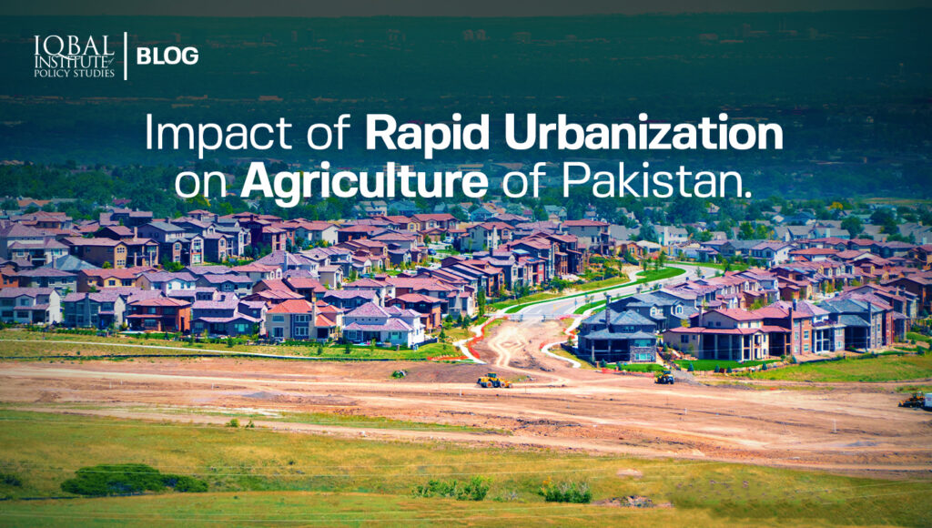 impact of Rapid Urbanization