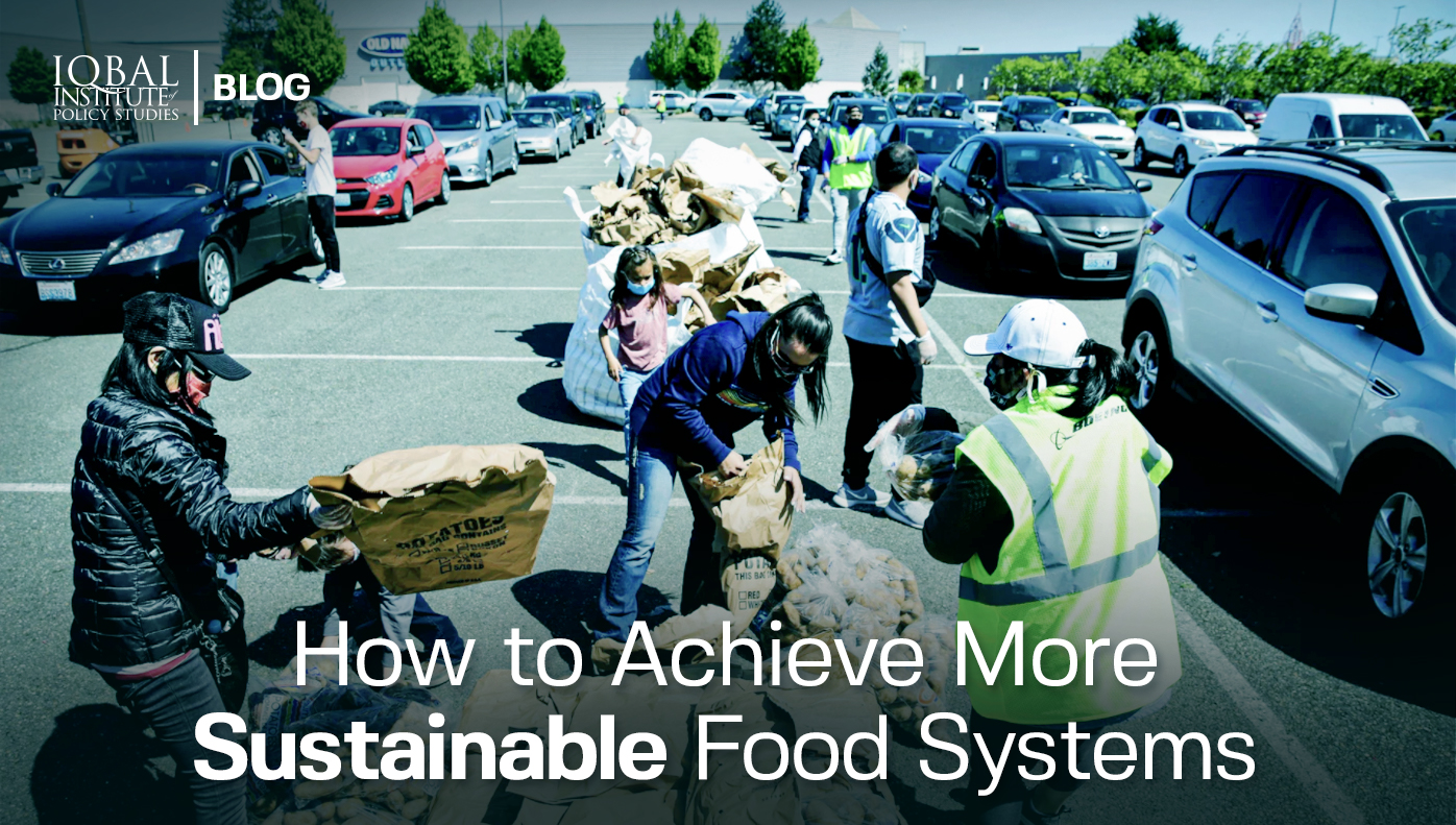 How to achieve more sustainable food systems