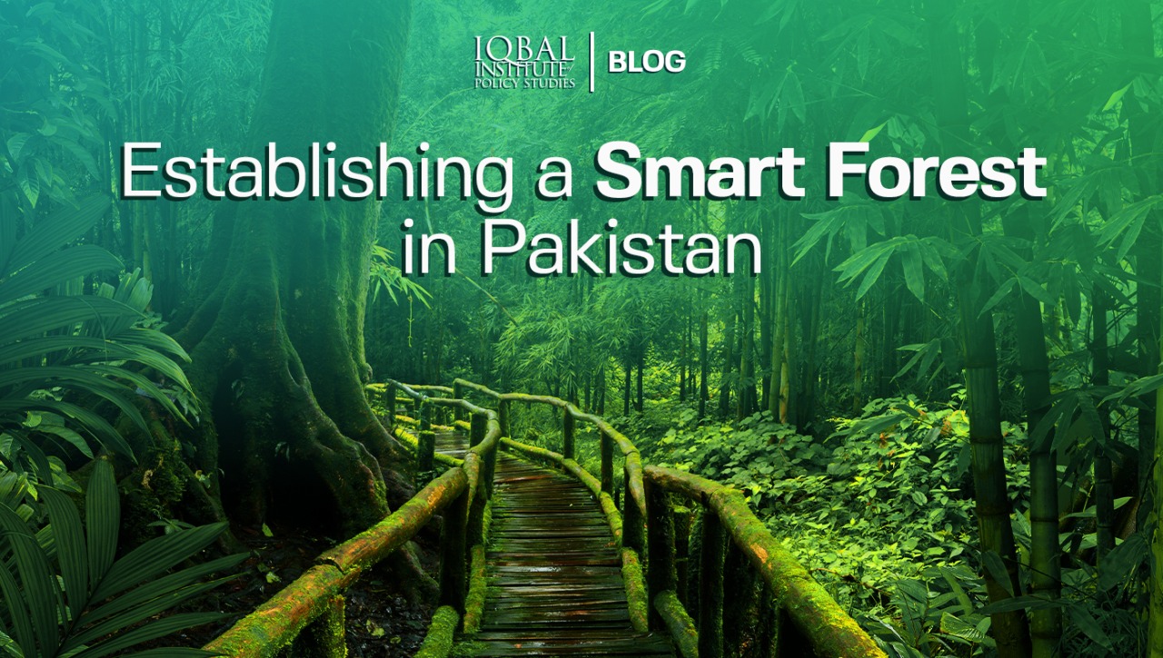 Establishing a smart forest in Pakistan