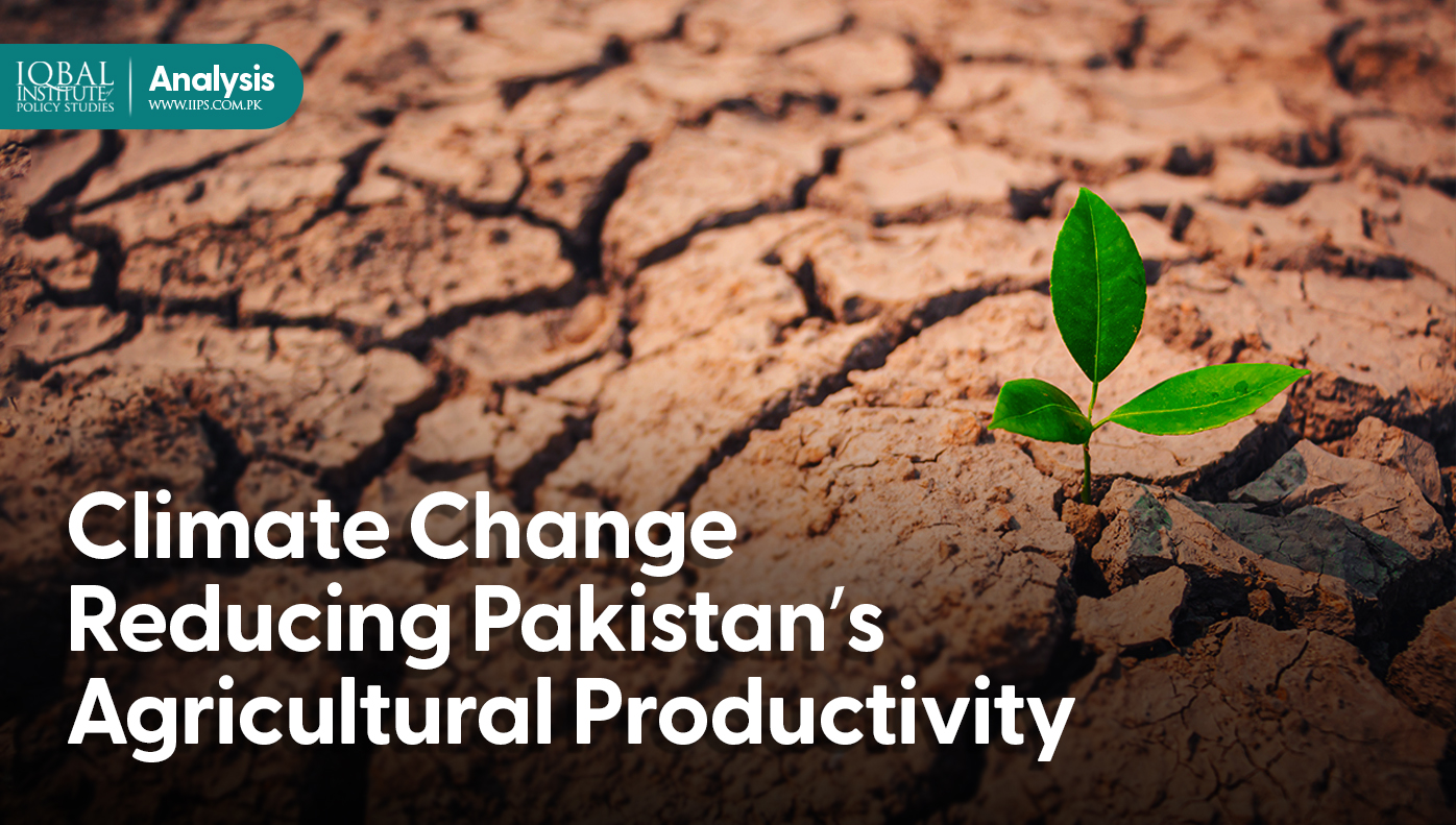climate change reducing agriculture productivity