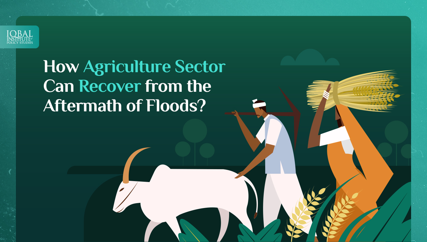 How Agriculture Sector Can Recover from the Aftermath of Floods?