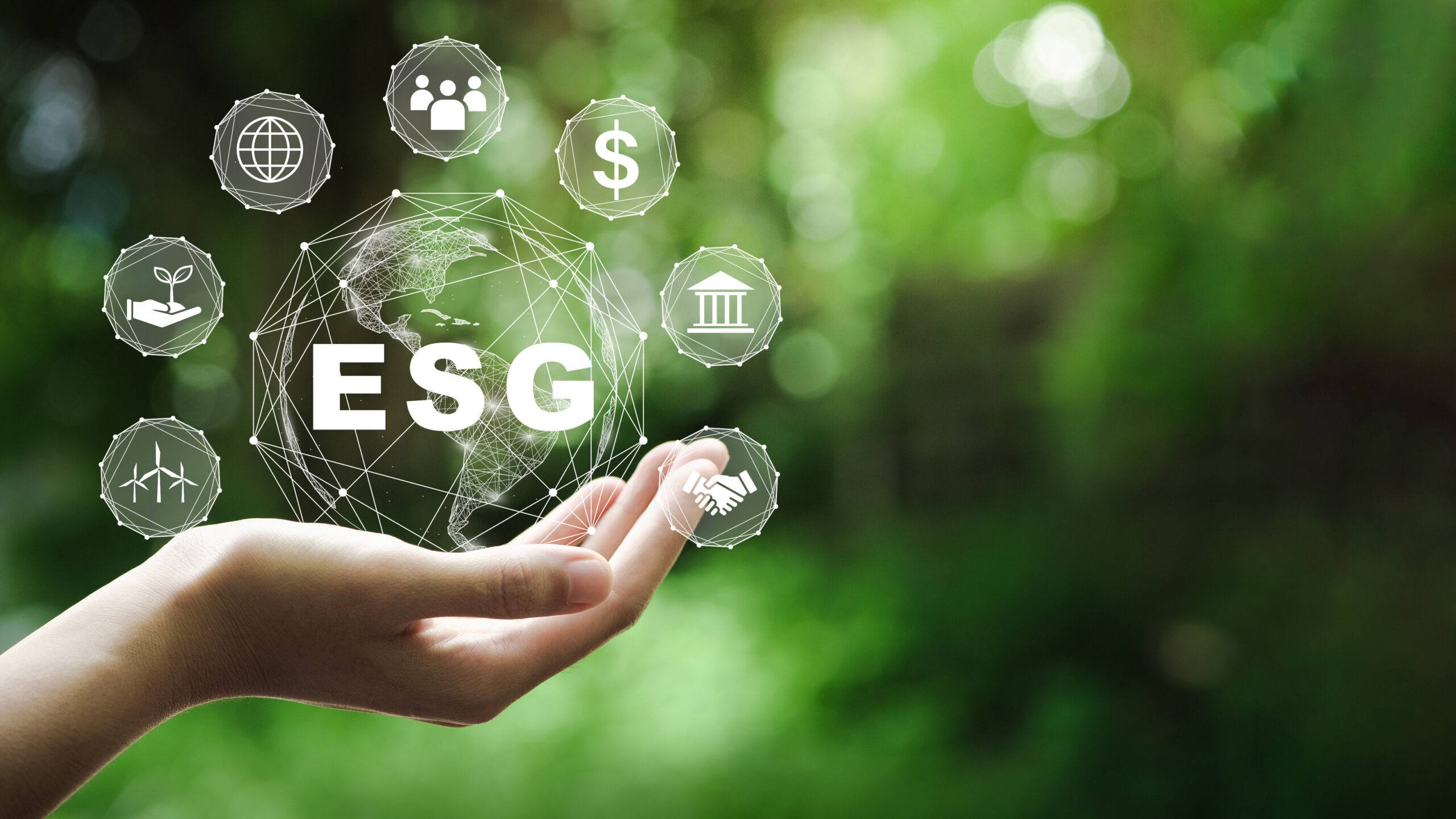 What are the Environment, Social and Governance (ESG) ?