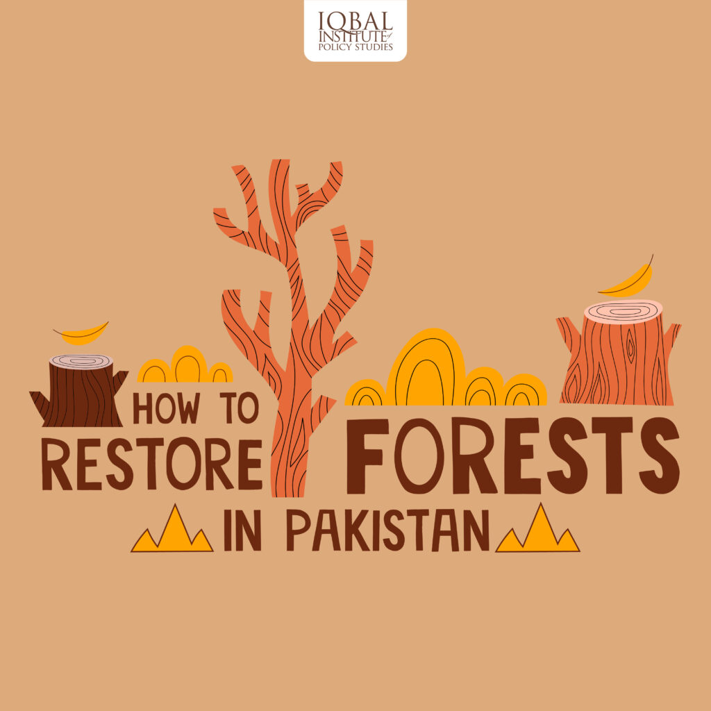 how to restore forests in pakistan