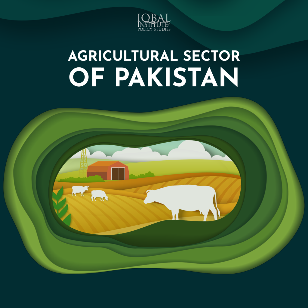 Agricultural Sector of Pakistan