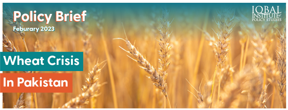 Wheat Crisis in Pakistan - Policy Brief