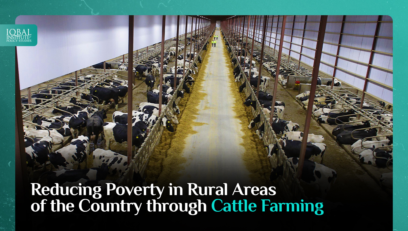 Reducing Poverty in Rural Areas of the Country through Cattle Farming