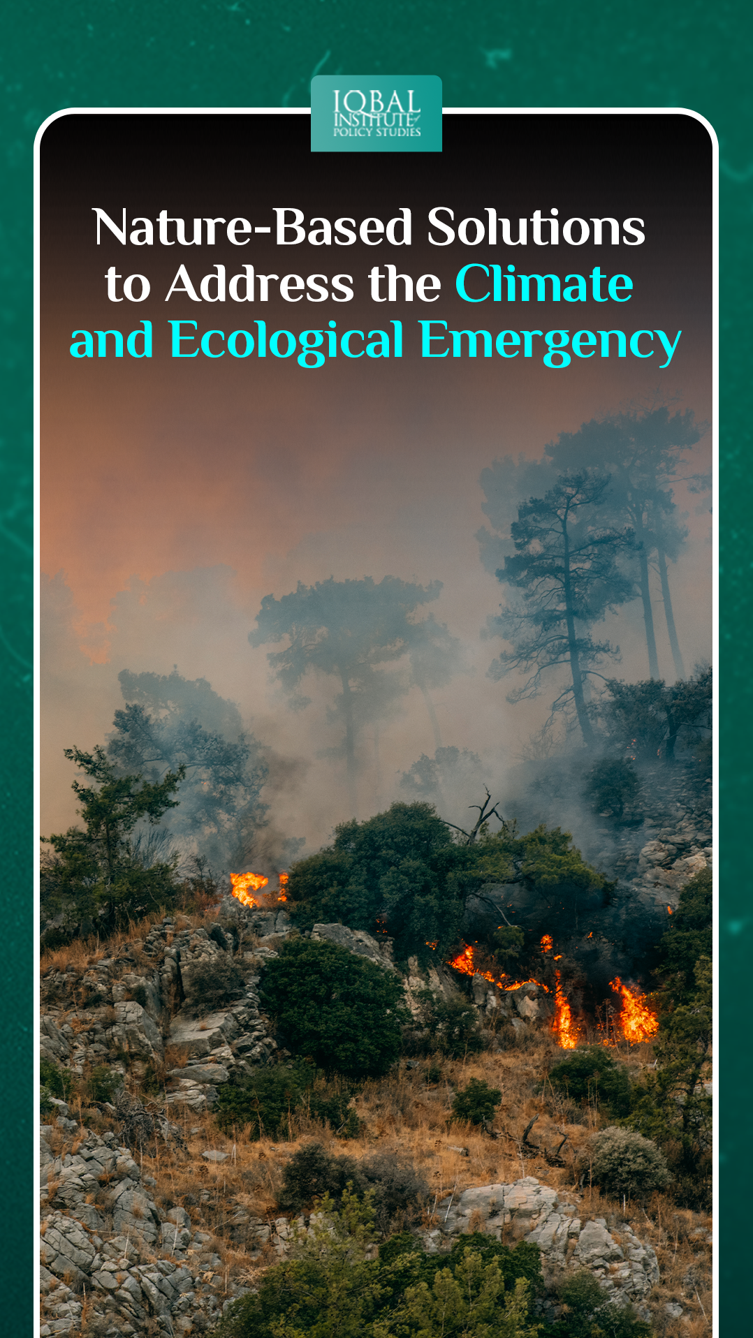 Nature-Based Solutions to Address the Climate and Ecological Emergency