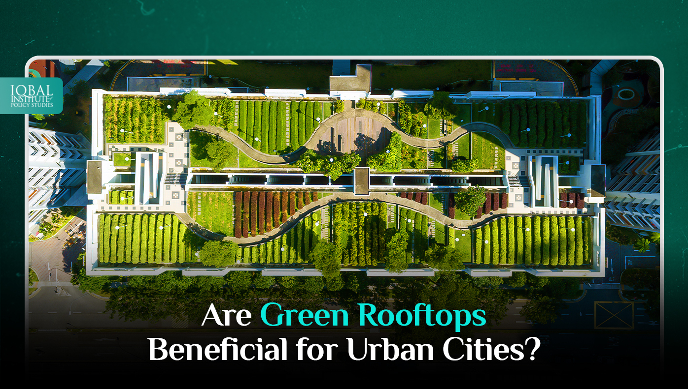Are Green Rooftops Beneficial for Urban Cities?