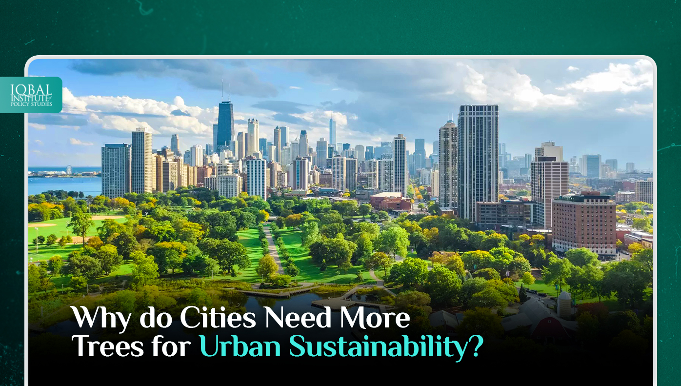 Why do Cities Need More Trees for Urban Sustainability?