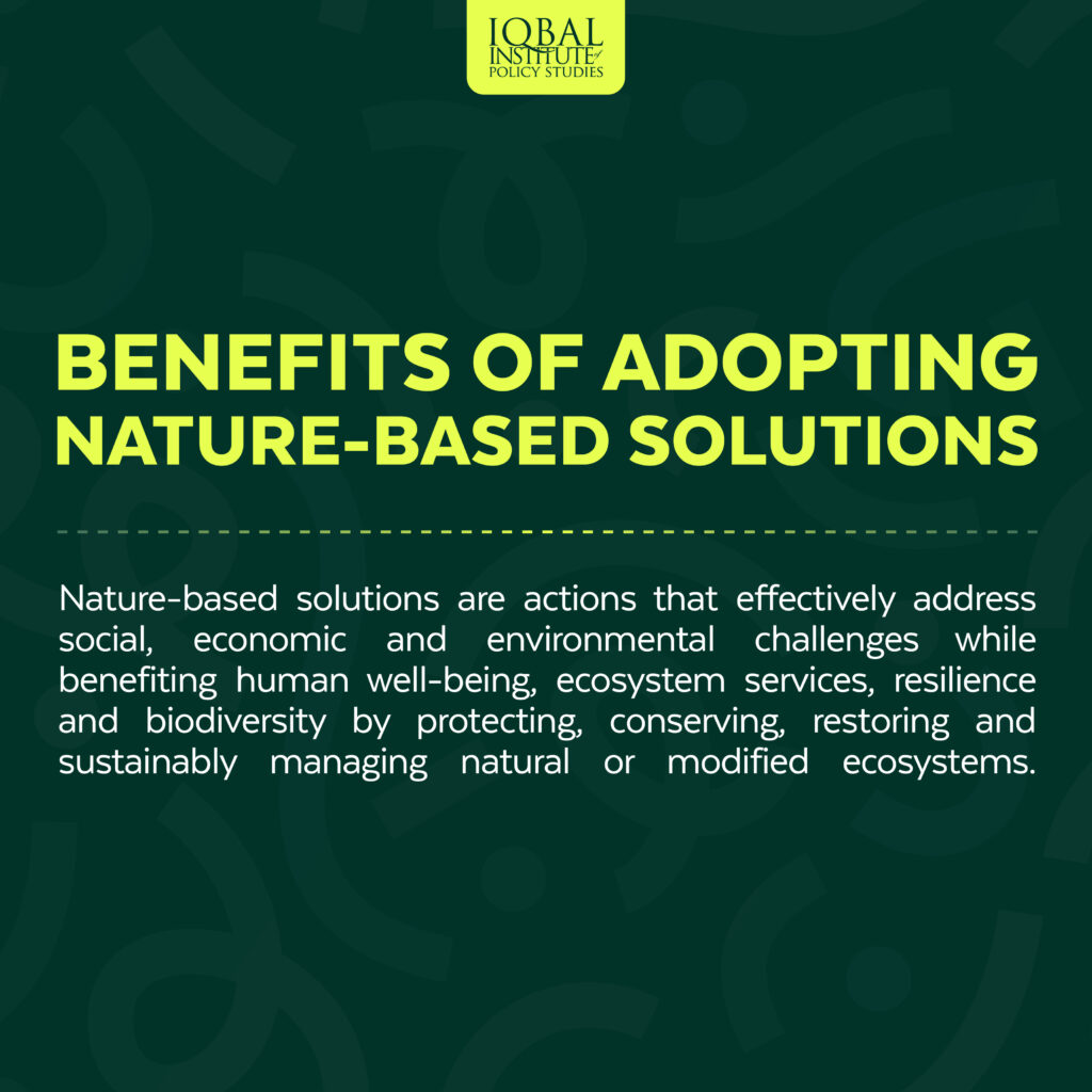 Benefits of Adopting Nature-Based Solutions