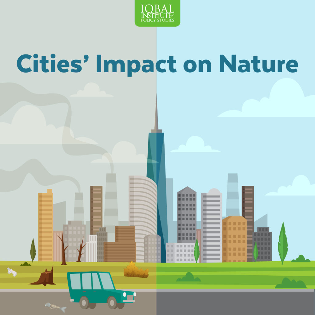 Cities' Impact on Nature