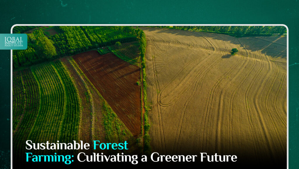 Sustainable Forest Farming: Cultivating a Greener Future