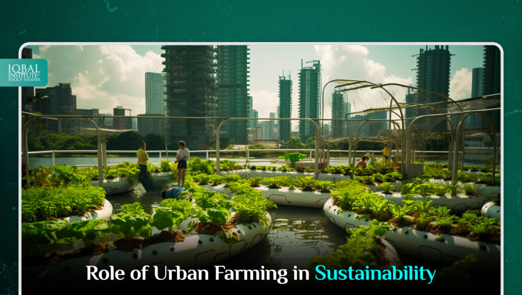 Role of Urban Farming in Sustainability