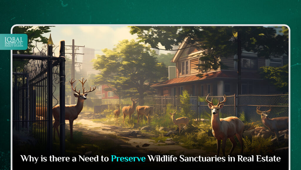 Why is there a Need to Preserve Wildlife Sanctuaries in Real Estate