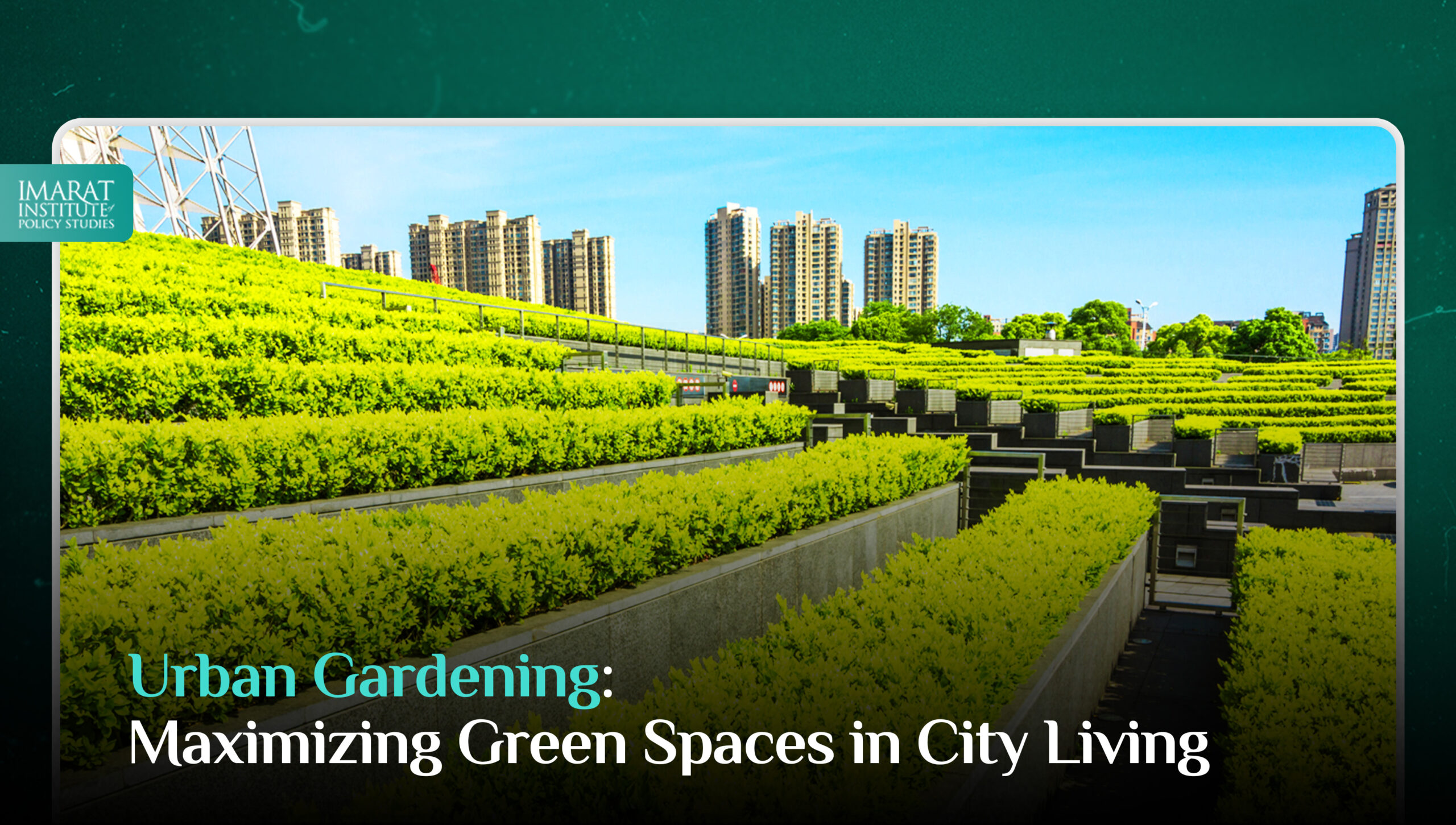 Urban Gardening: Maximizing Green Spaces in City Living