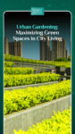 Urban Gardening: Maximizing Green Spaces in City Living